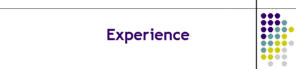 Experience